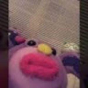 Meet your Posher, Morgan